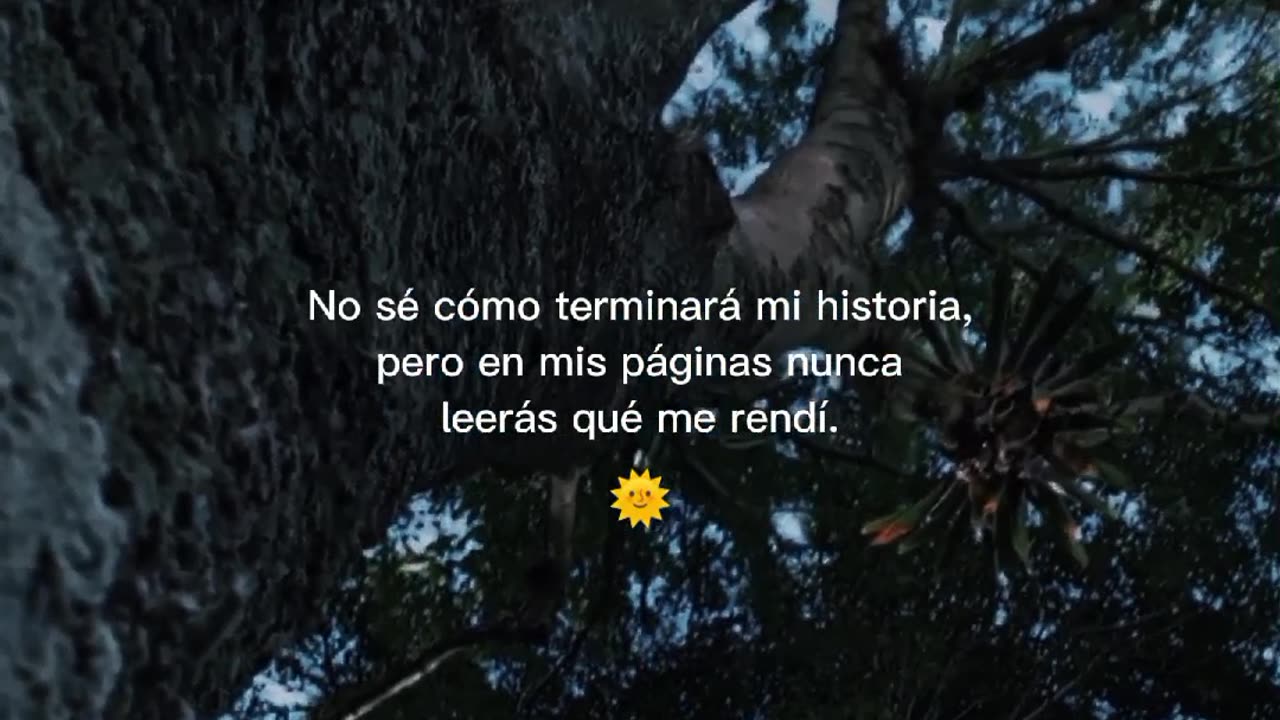 Frases motivación 🌛