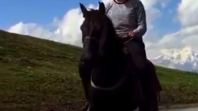 Beautiful Nature - Horses