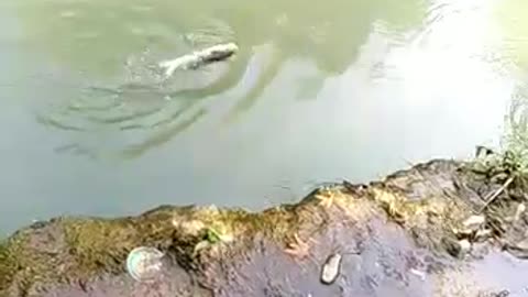 Fishing Time :D