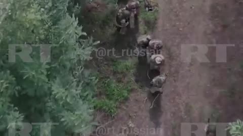 Russians Captured 5 Soldiers of the AFU Near Ulanok, Kursk Region