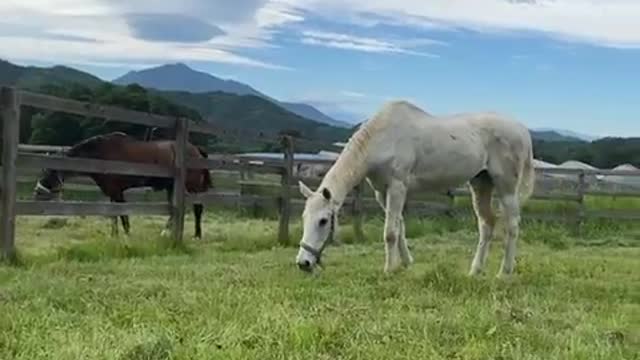 2022-6-26 Turn-out-1