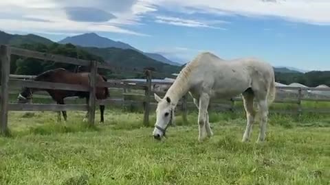 2022-6-26 Turn-out-1