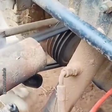 Lil Bro Wants All The Smoke