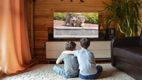#Funny video#