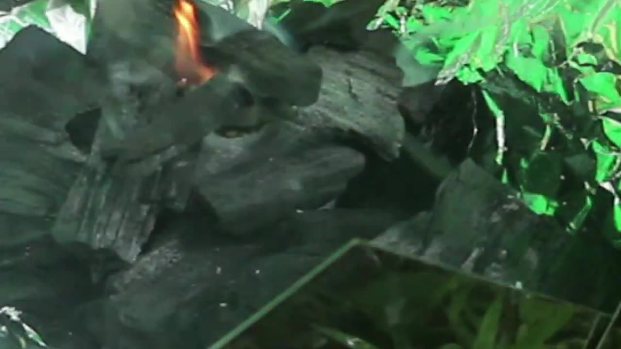 Roasting Fish In The Rain