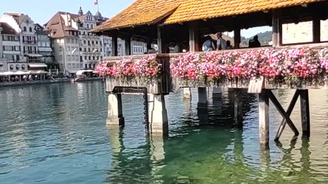 Lucern svizzera