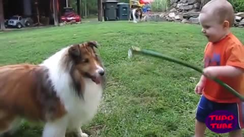 dogs and children beautiful reactions