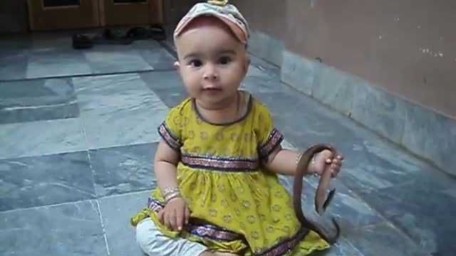 Baby plays with a snake