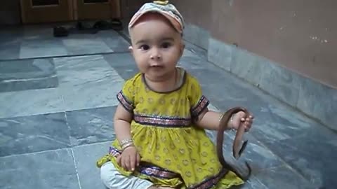 Baby plays with a snake