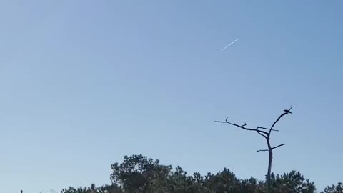 Discovered an Osprey in its best while Kayaking