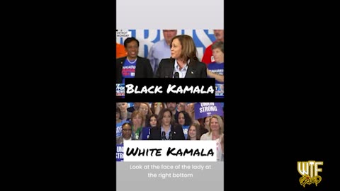 Kamala Word Salad #5