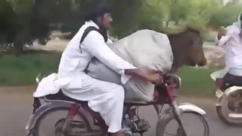 Pakistani Viral Video