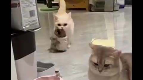 lunch time