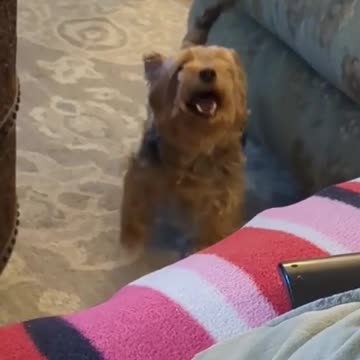 We love you too, bud! 🐶🥰