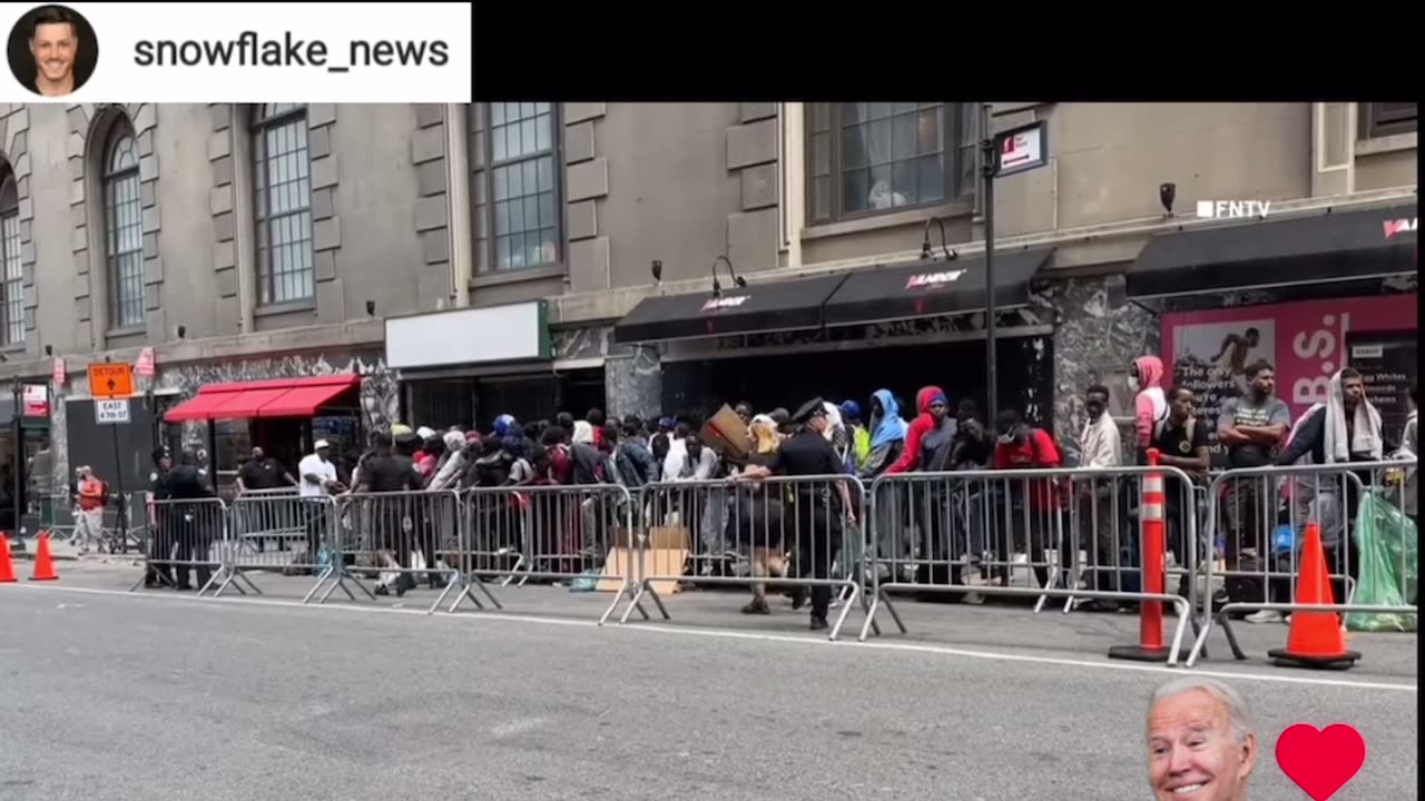 New York has an illegal immigrant problem, hmm wonder how this could be🤓