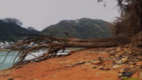 21_0429日月潭 土亭仔步道