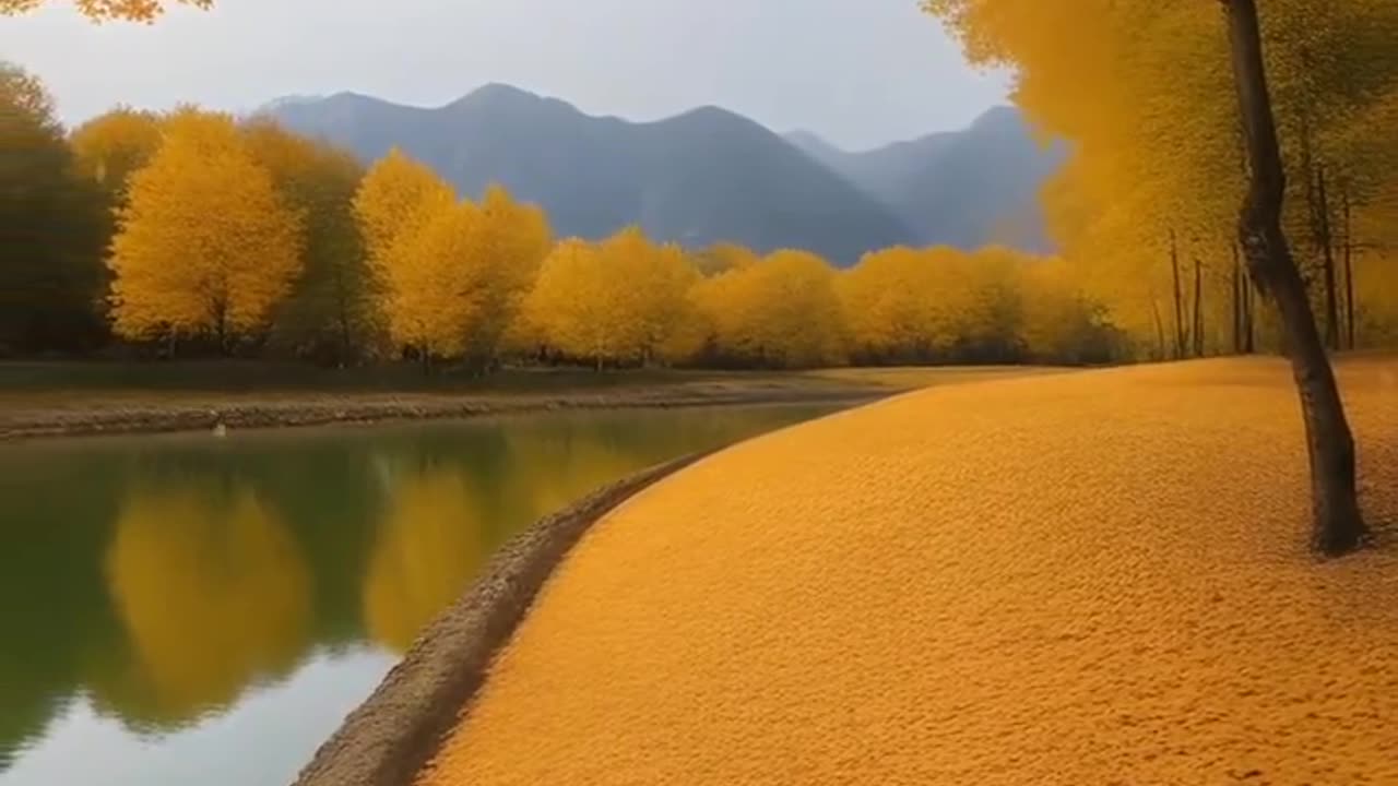 Nature video