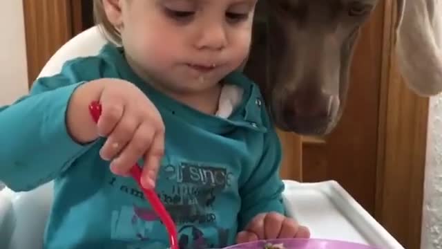 Dog Steals Kid's Food Every Time He's About To Use His Fork