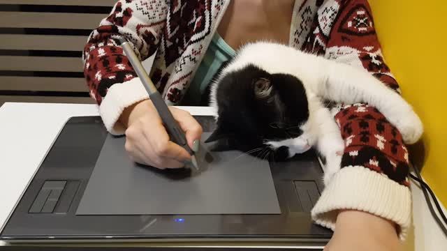 Cat makes owner's workday so much better