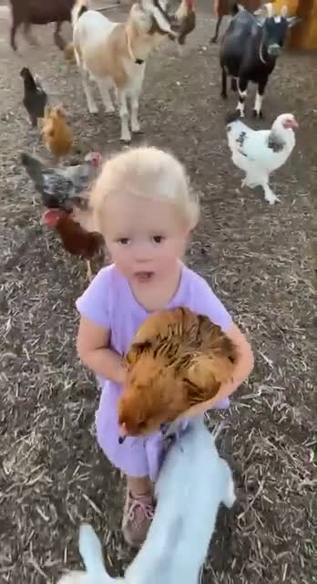 Little girl loves animals