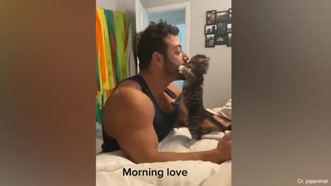 Cutest cat 🐈