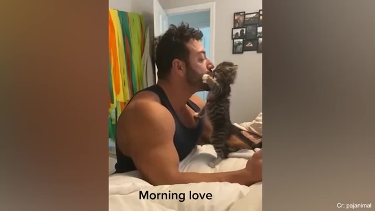 Cutest cat 🐈