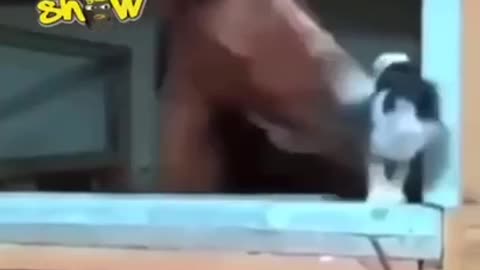 He had enough 🙈😂
