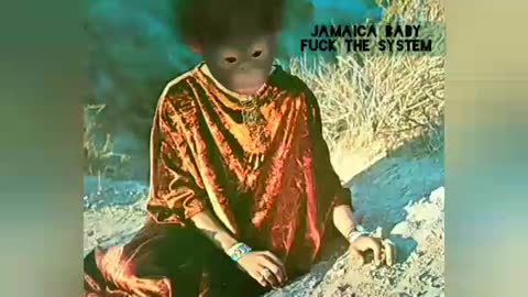 Jamaica Baby - Nah Look Back