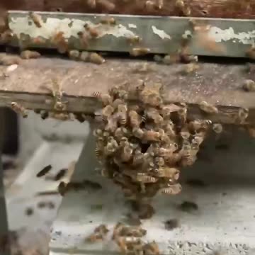 "Every nation has the government it deserves." - Joseph de Maistre (1753-1821)