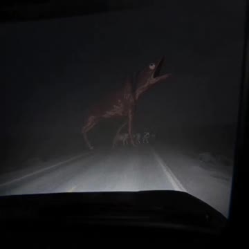 Back on the road with Trevor Henderson's Big Charlie 💀