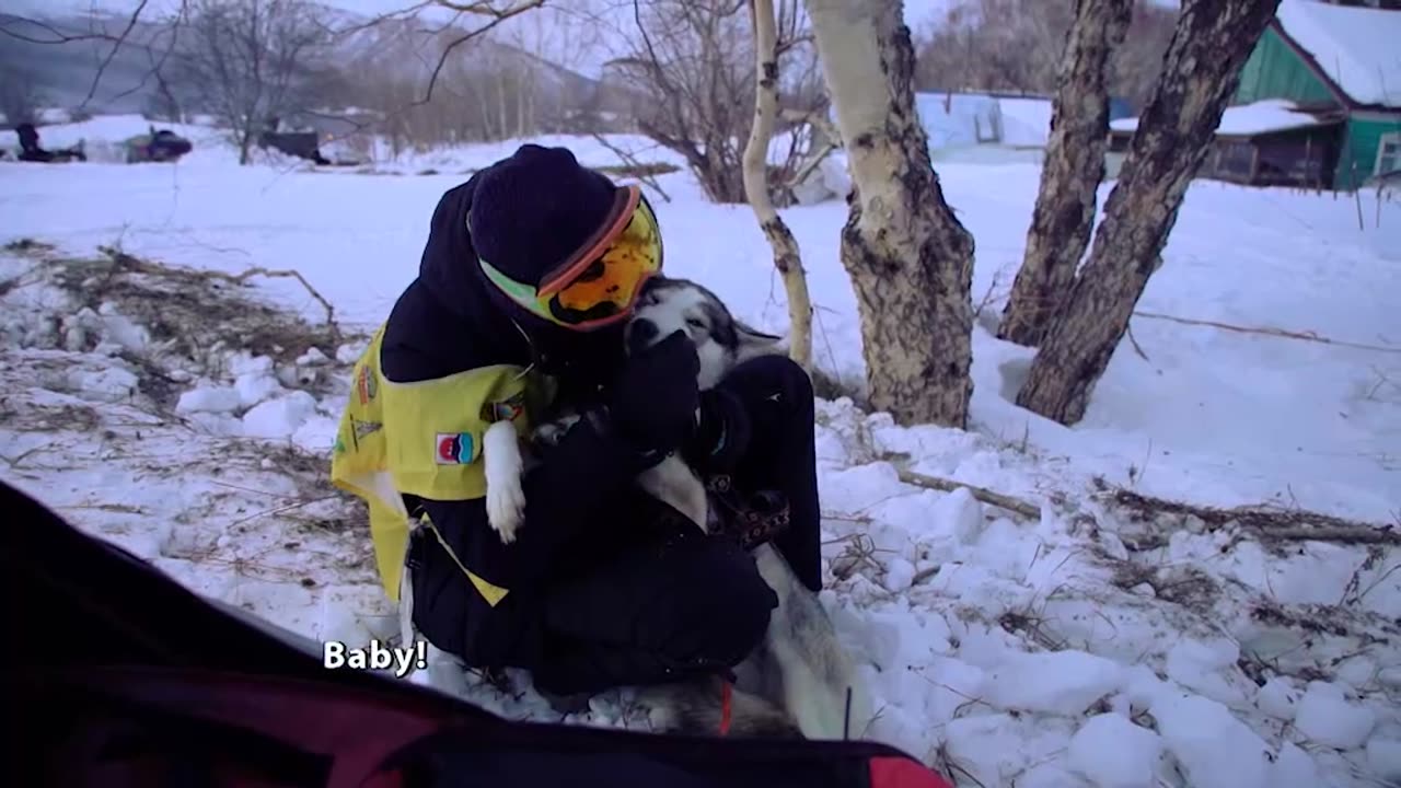 The world's longest sled dog race, held in Kamchatka, is one of the toughest challenges on Earth.