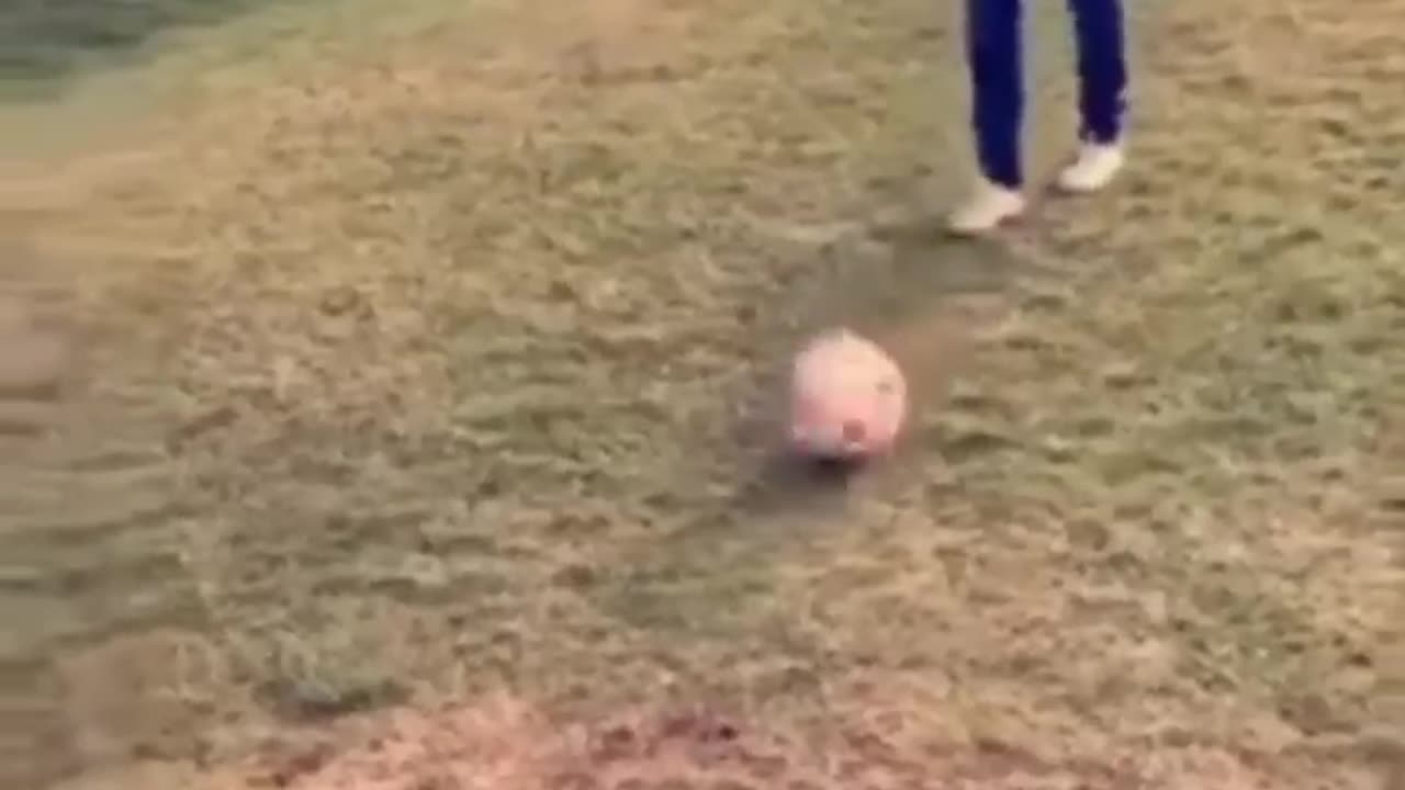 Fun