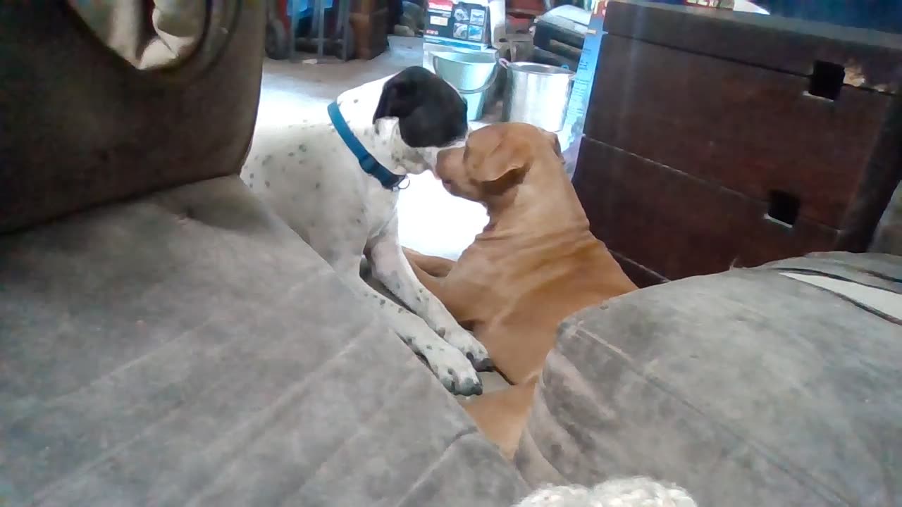 Video to be reviewed close up body language soon