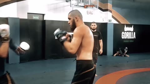 Mma workout