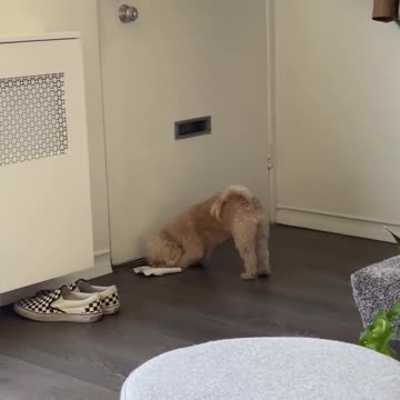 Return to sender! 🤣✉️