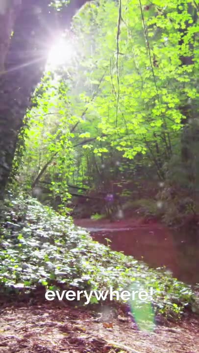 Orbs and orcs = jinn nations