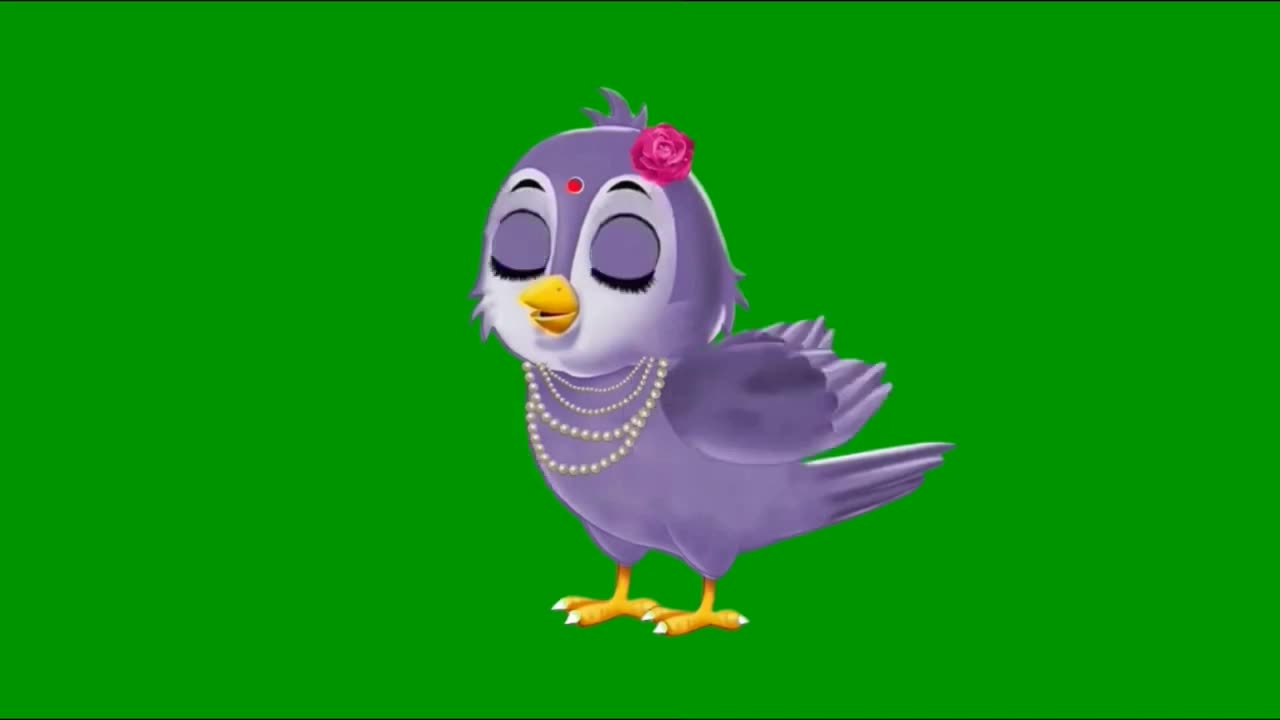 bird green screen