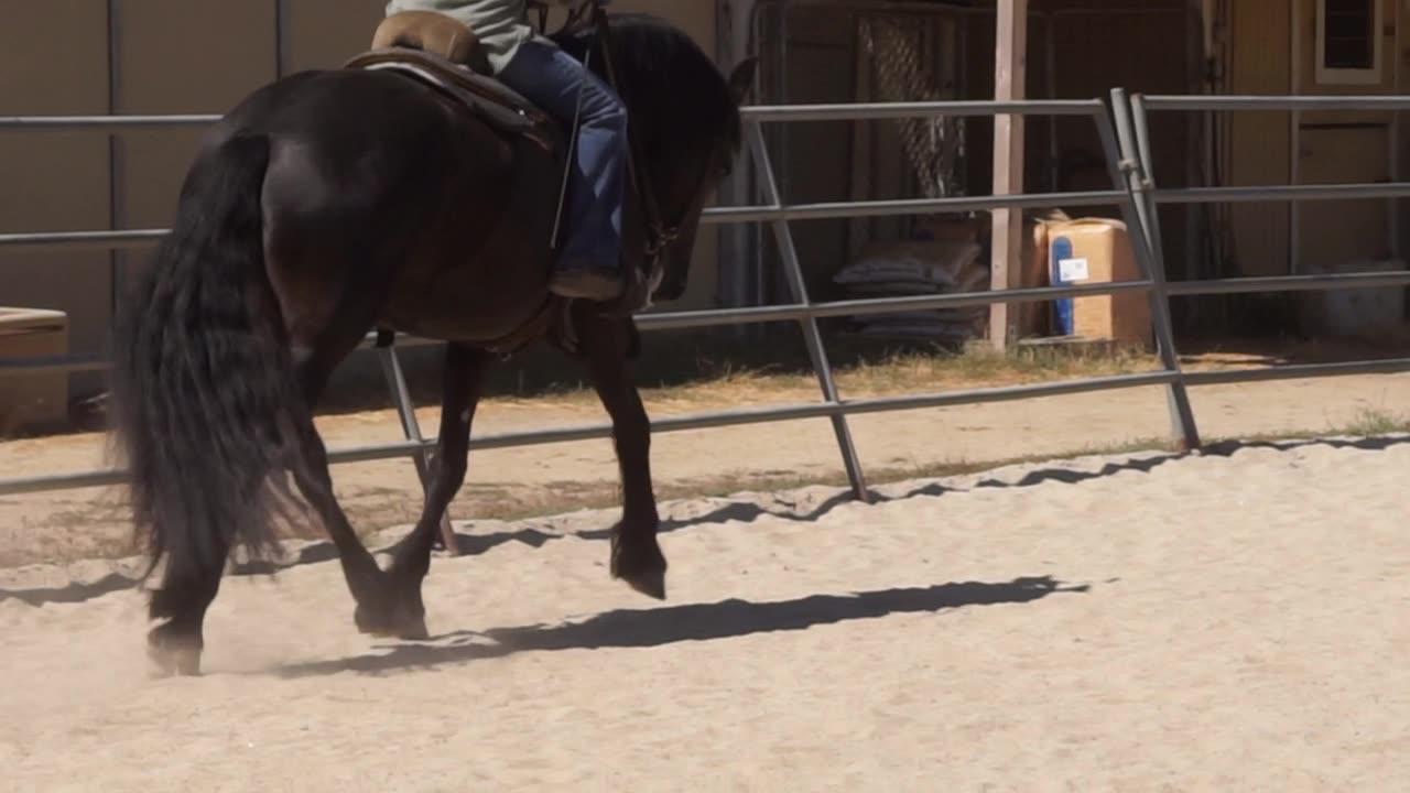 Illyria CK (Born - July 2, 2018) Riding in the Arena