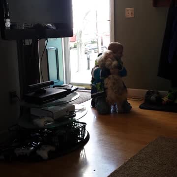 Little Boy Shares Tearful Reunion With Lost Dog