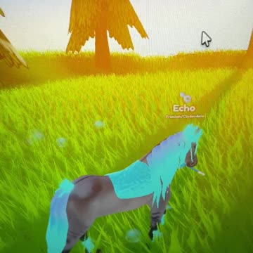 One of my favorite tack set I made on wild horse islands echo