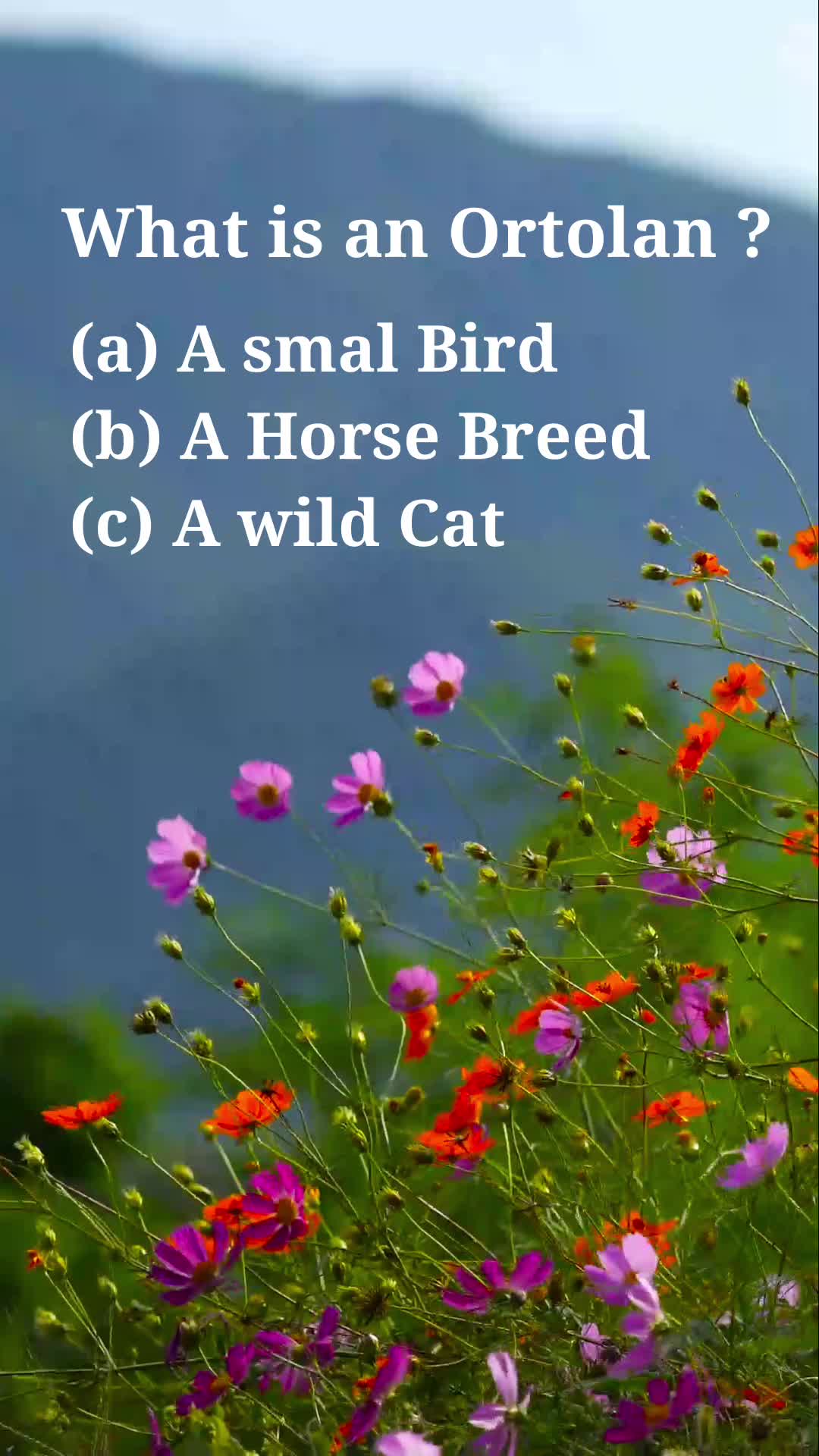 What is an Ortolan ? Quiz Ques and Answer