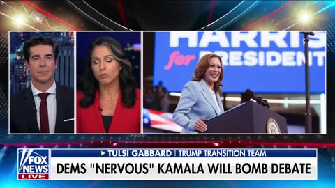 Tulsi Gabbard: Kamala Harris was treated with 'kid gloves'