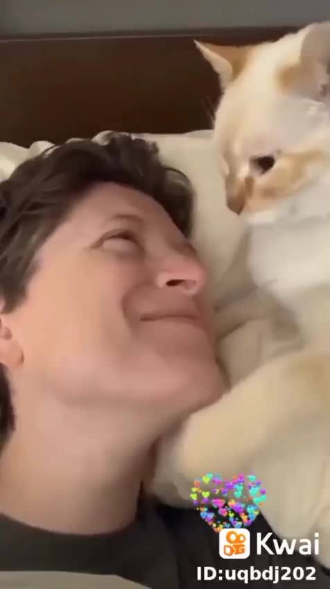 the most affectionate kitten in the world