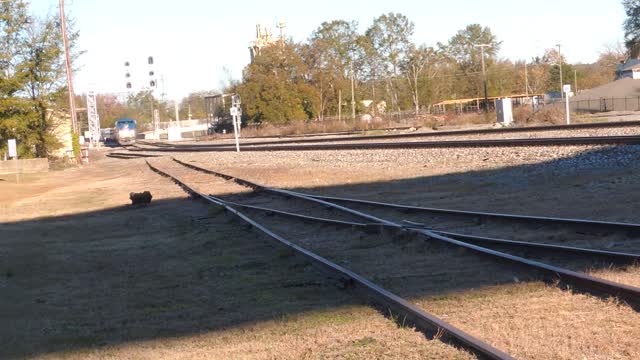 Amtrak at Meridian, Mississippi Nov. 2017