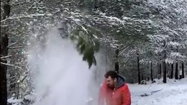 Top Trending Funny Clips...