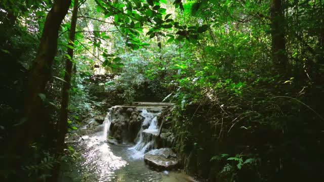 beautiful waterfall in the morning with the melodious sound of birds