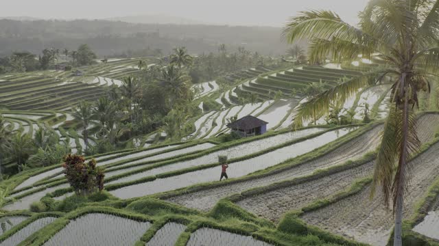 Bali in 8k ULTRA HD HDR - Paradise of Asia (60 FPS)