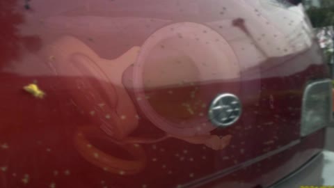 21_0327 E12-V散熱檢測