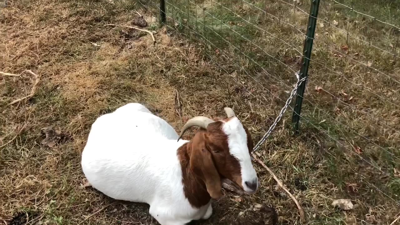 Milk Barn Talk on Vets and Expenses