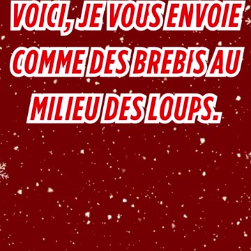 "Sages comme des Serpents, Innocents comme des Colombes" Matthieu 10:16.#shorts #short #youtubeshort